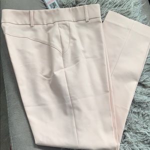 Chaus dress pants